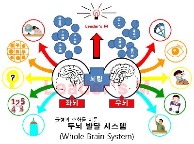 두뇌의 생물학적 특징과 발달